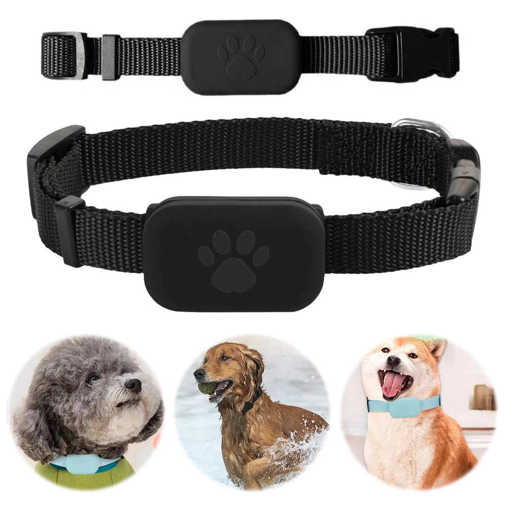 TRUFFI™ Smart GPS Pet Collar